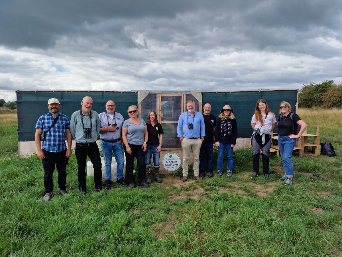 Over the last five and a half months our team have been busy delivering an English Corncrake reintroduction scheme in the #LDV, with the project now over until next year, as the last of the 74 chicks were released onto the site this week 🤩