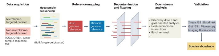 naturemethods's tweet photo. In another Perspective @QinMaBMBL, @dspakowicz and team explore the debate surrounding the role of the tumor microbiota and discuss strategies that might help answer these questions.

https://t.co/H6WJ5jOc8h https://t.co/XUHllEOS2v