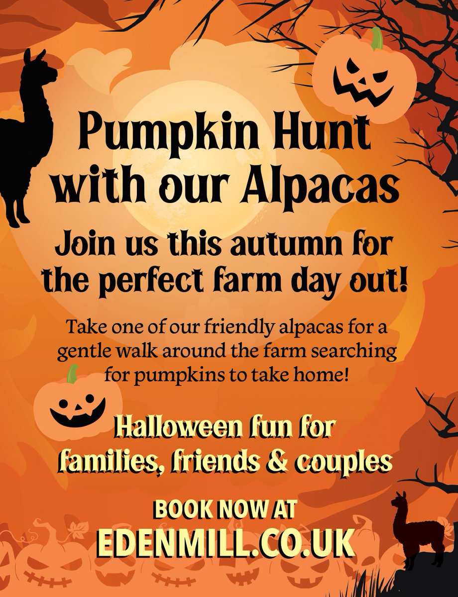 Who loves Alpacas😍

Pumpkin Hunt - Edenmill Farm Glasgow G63 9AX