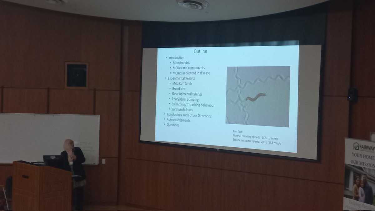 CapDistPostdocs's tweet image. Our second speaker of the day is Dr. Rabia Ashraf, she is telling us all about the importante of mitochondria using c.elegans as a model #postdoc #albany #CDPA