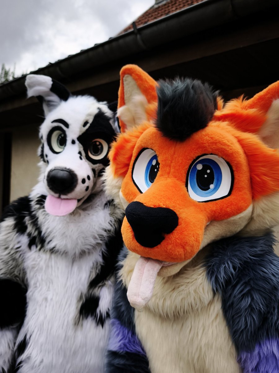 Aujourd'hui faut profiter du soleil avant qu'il ne disparaissent !
Alors hop hop hop, sur le transat de suite !
#furry #fursuit #FursuitFriday