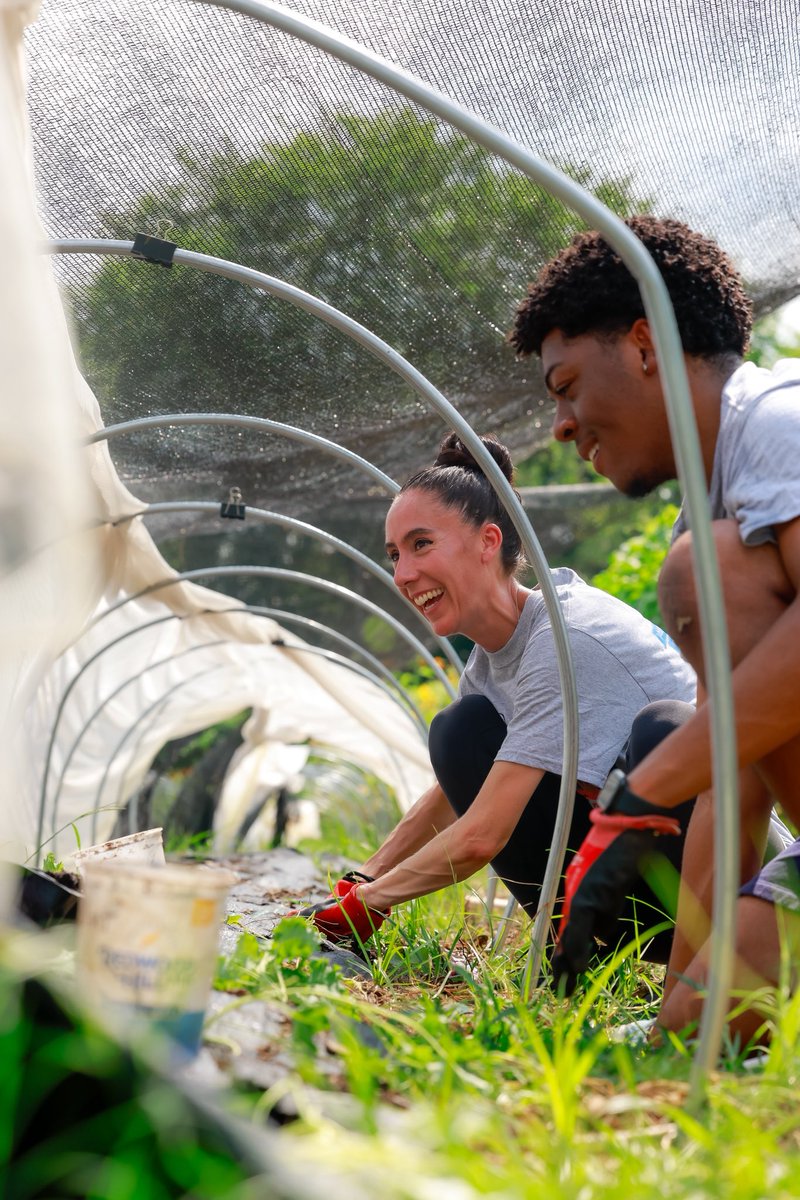 DCDPR's tweet photo. ๐ฑ From planting roots to pounding the pavement ! Howard pride showed up strong at Day of Service, and weโre bringing that same energy to the HU Fun Run on Oct. 24. Mark your calendar! ๐
#HUFunRun #MoreThanRec #DPREvents #DCEvents https://t.co/9uft04JI52