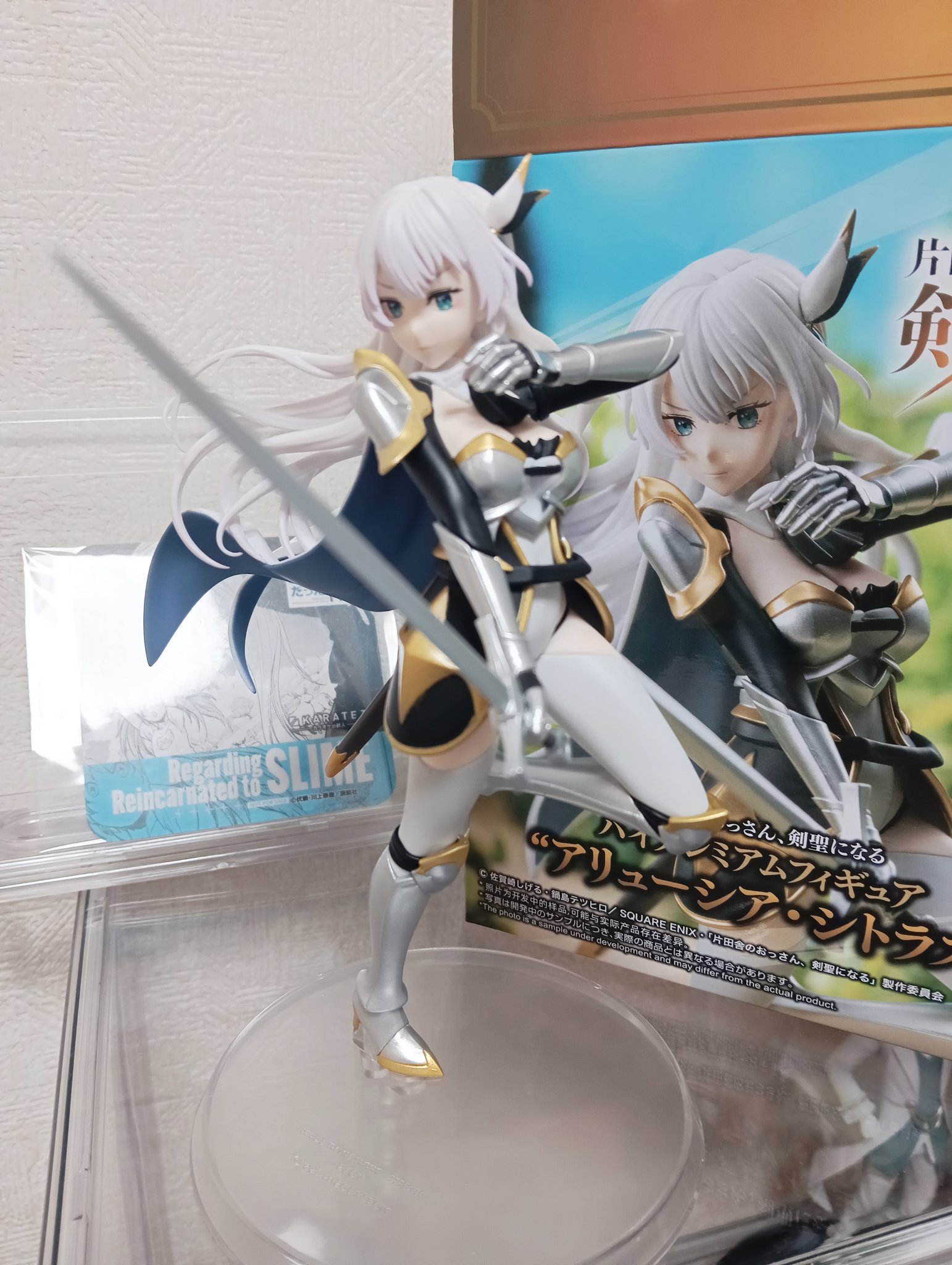 片田舎のおっさん、剣聖になる ハイプレミアムフィギュア ベリル