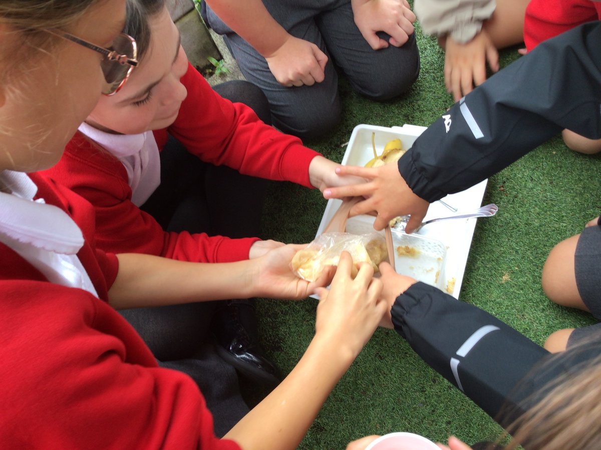 Woodlea Tiger Class tweet media