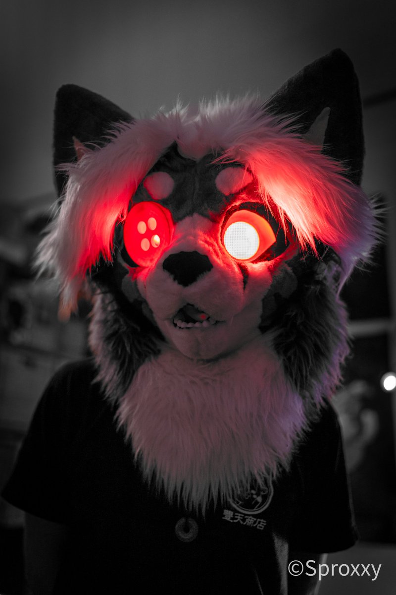 It's #FursuitFriday and ALSO Bisexual awareness week!!

BE AWARE OF MEEEE!

📸 <a href="/SproxxyHusky/">🏳️‍🌈🇩🇰Sproxxy Husky 🔜 NFC</a>