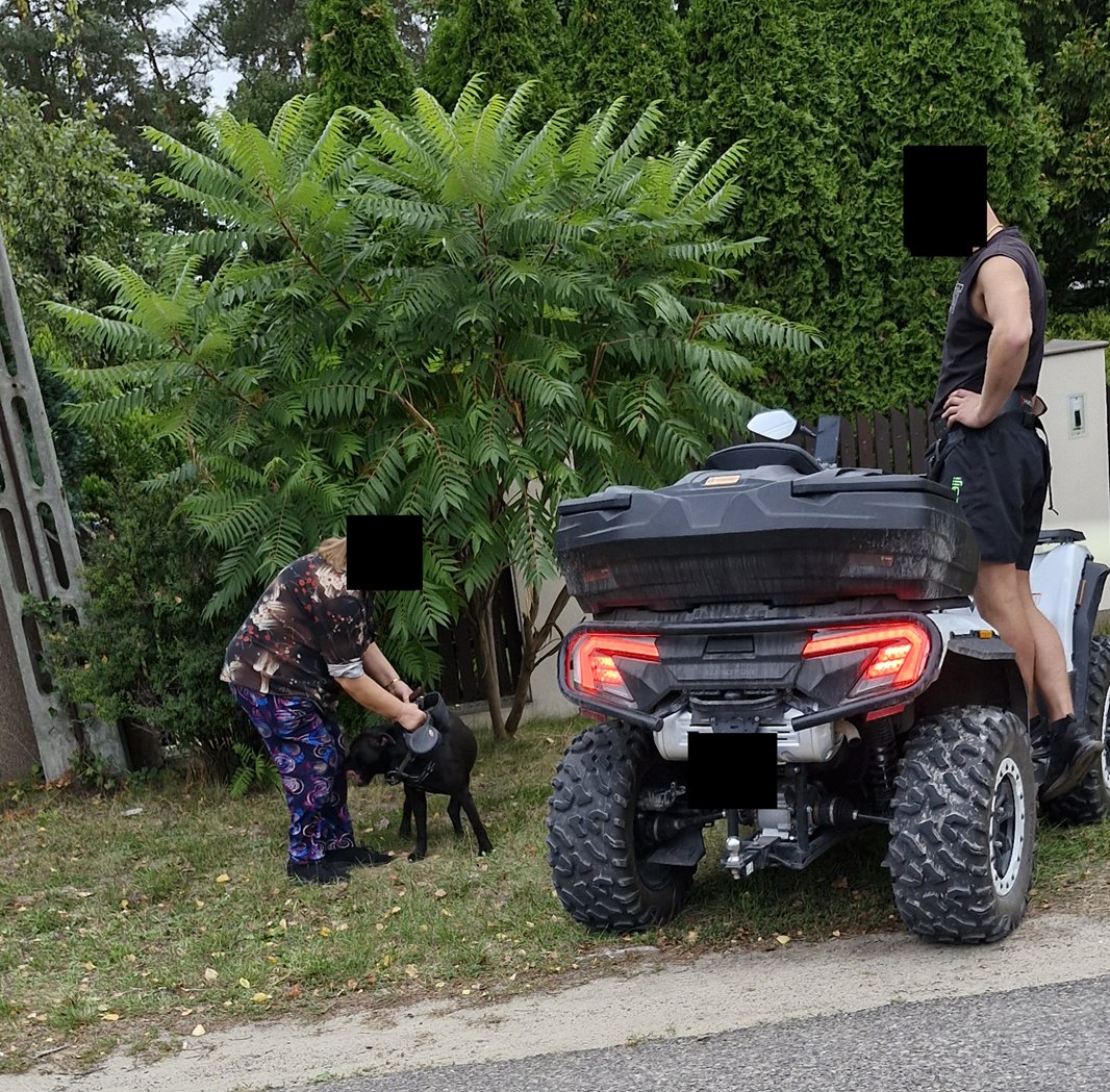 SluzbyiObywatel's tweet image. Wczoraj jechałem rowerem po Płudach na Białołęce. W pewnym momencie moją uwagę przykuło zamieszanie. Około 30 kg bezpański Pitbull zagryzał małego psa. Właścicielka pieska krzyczała wzywając pomocy. Zatrzymałem się ja i jeden z kierowców. Przystąpiliśmy do działania.

Kilka…