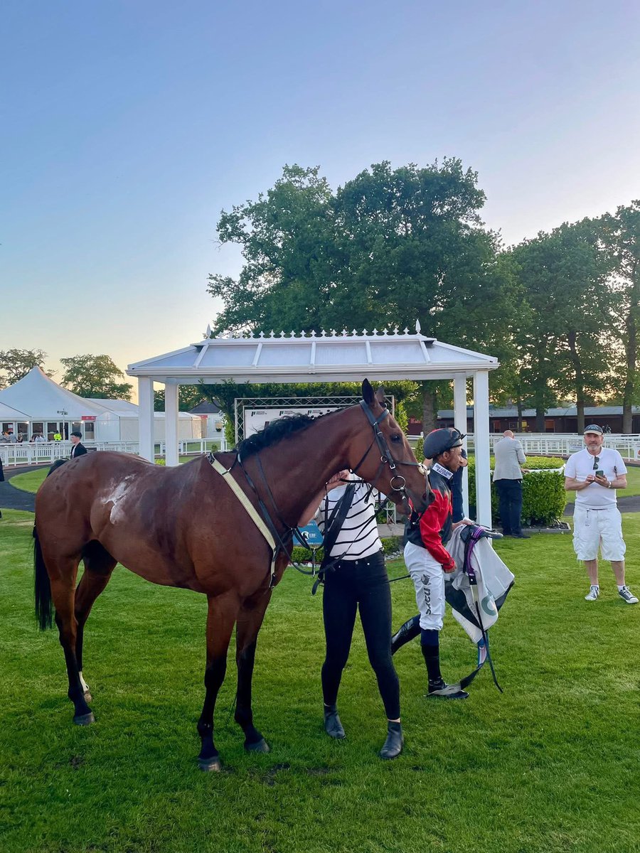 Ignac Lamar after the 2nd of his 2 wins this year at Hamilton Park Racecourse. He still remains well handicapped and we think he will win more races this year. Email - LBLhorses@gmail.com. Only 6.25% available! Website - letsbeluckyracing.com. Trained by <a href="/JimGoldieRacing/">Jim Goldie Racing</a>