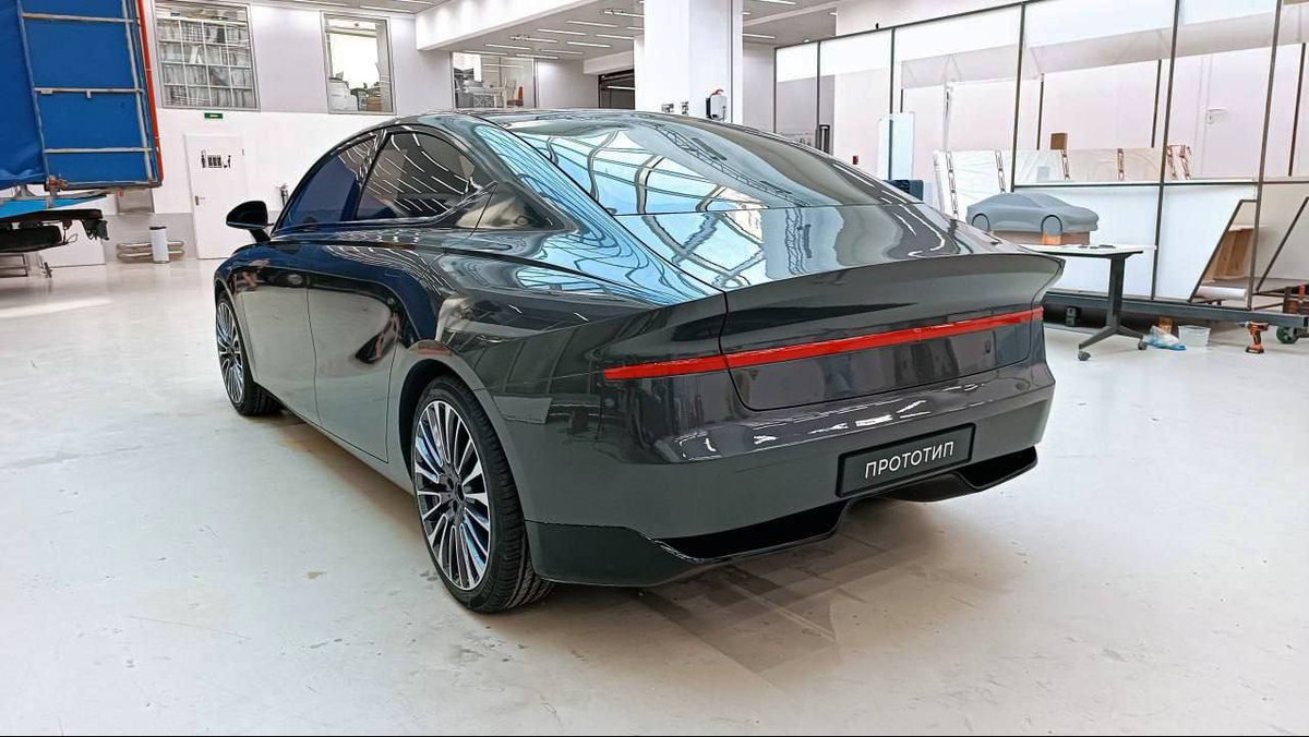 Дикий Петербург tweet media