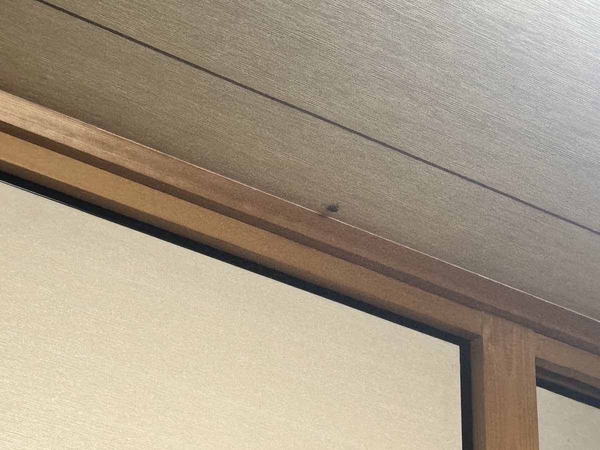 なんかおる終わった