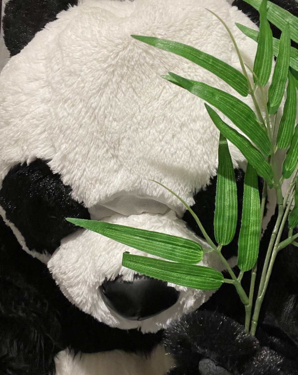 エグエン(Eguen) tweet media