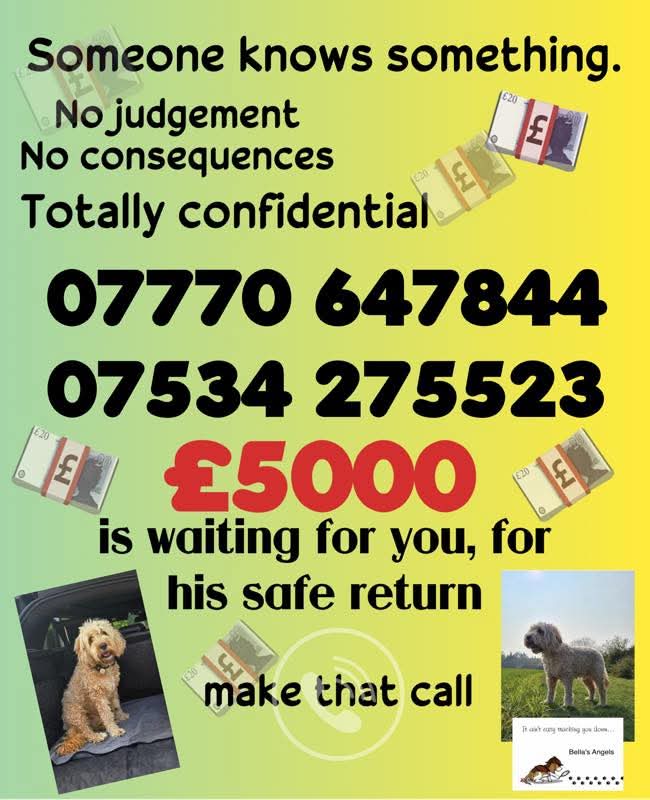 Missing Pets GB tweet media