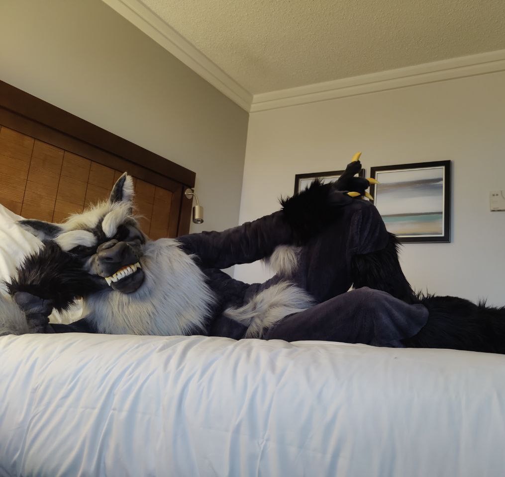 Probably shouldn't let the werewaff on the bed.

#FursuitFriday