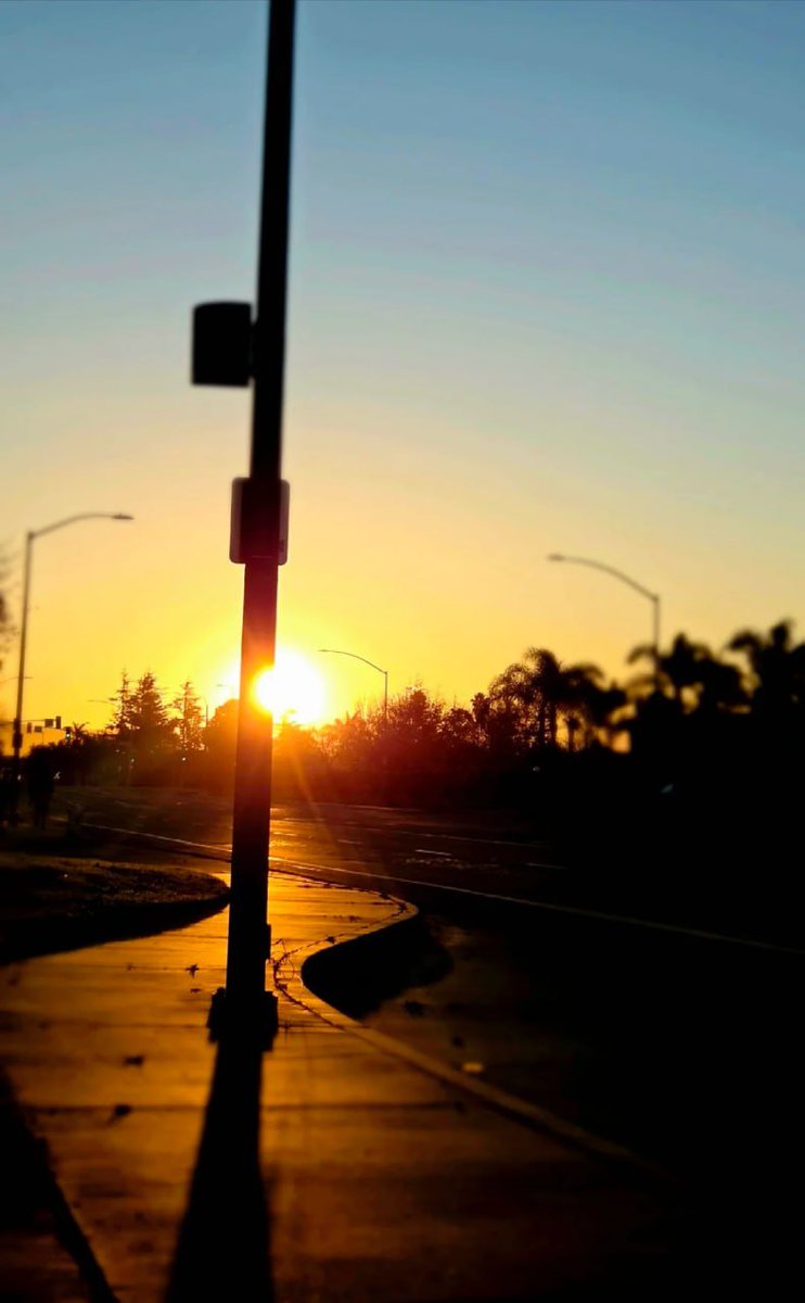 BackOnTrackDUI's tweet image. Morning sun in California