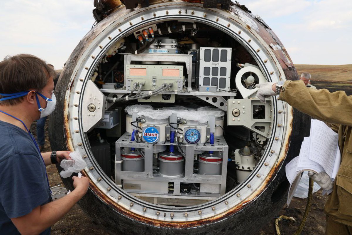 katlinegrey's tweet photo. First data on the #BionM №2 experiments: 65 of 75 mice returned back to Earth safely. The scientists from #IMBP believe it’s a good result, they will find out what and when happened to the mice who didn’t. The other experiments are in good condition too. https://t.co/M3d7UQmUdF https://t.co/L3NMZ3lQtK