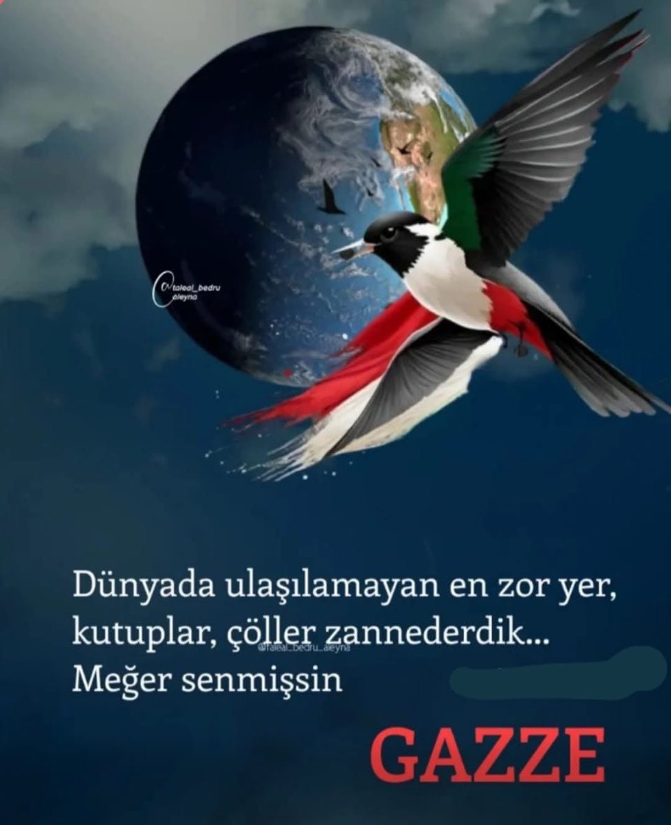 Ebubekir DEMİRCAN 🍉🍉🇵🇸🇹🇷🇹🇷🇹🇷 (@hanka_42) on Twitter photo 