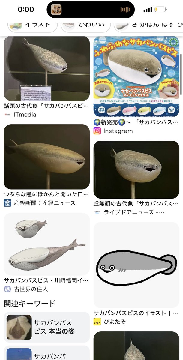 サカバンバスピスに
似てると最近よく言われます。

似てます？😀