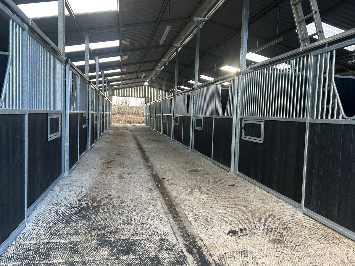 Equine Engineering tweet media