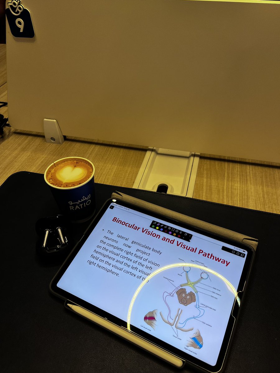 ودك تطلع + بس تبي تذاكر = اضرب عصفورين بحجر ذاكر برا وغير جو 🔥📚