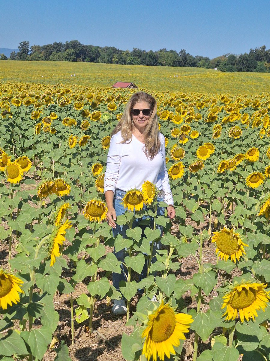 Filed under: things that remind me to look up and keep going. 🌻✨

#sunflowers #writerslife #authorlife #SimpleJoys