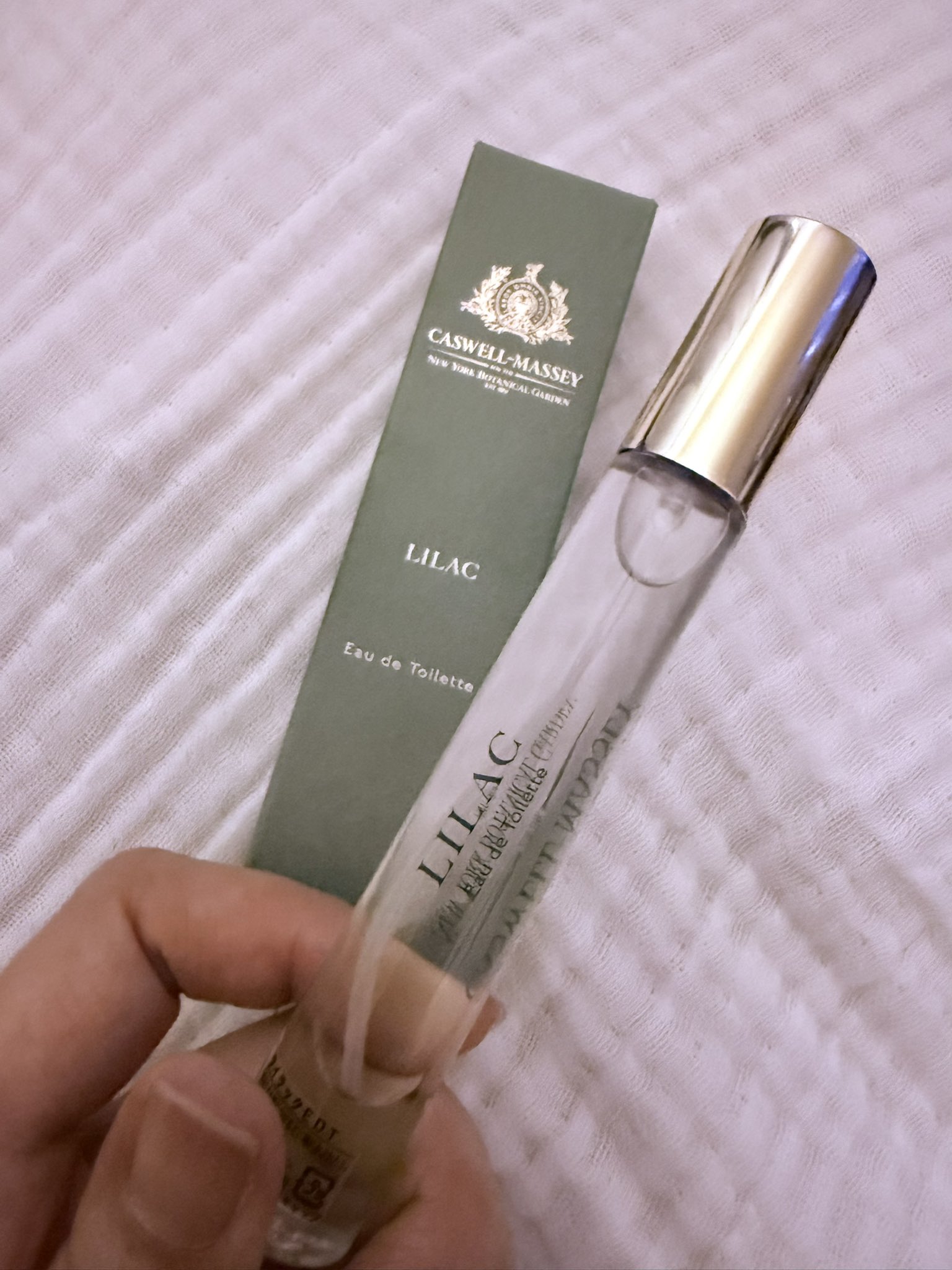 𝔻𝕠𝕣𝕠𝕥𝕙𝕪 𝔦𝔫 𝔴𝔬𝔯𝔩𝔡'𝔰 𝔢𝔫𝔡 (@d_o_r_o_t_h_y__) / X