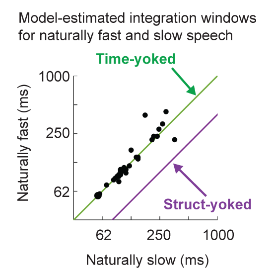 Sam Norman-Haignere tweet media