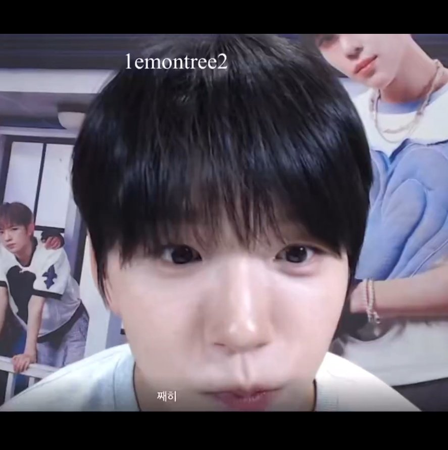 댕른 아카이브 tweet media