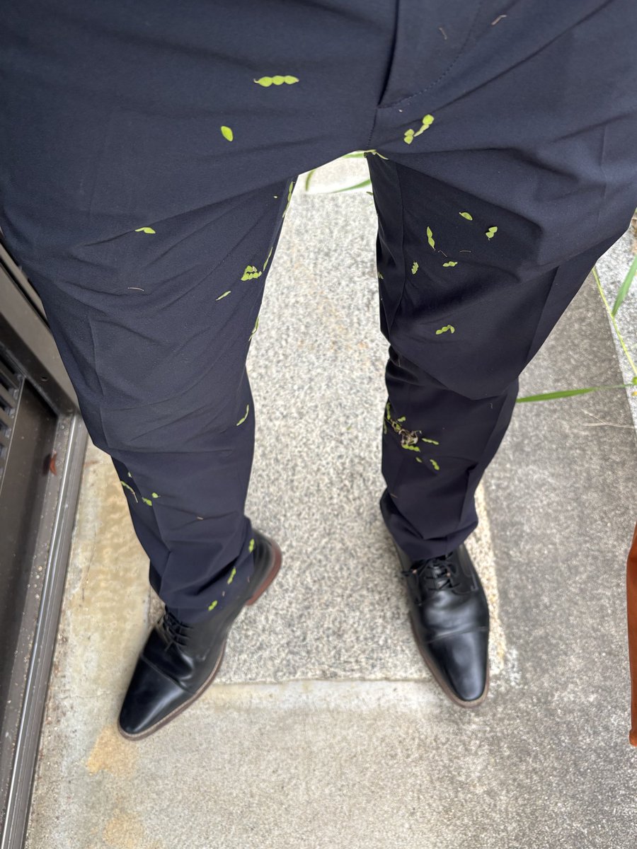 9p_uk's tweet photo. 本日のバッドポイント https://t.co/r0ej0SR2zv