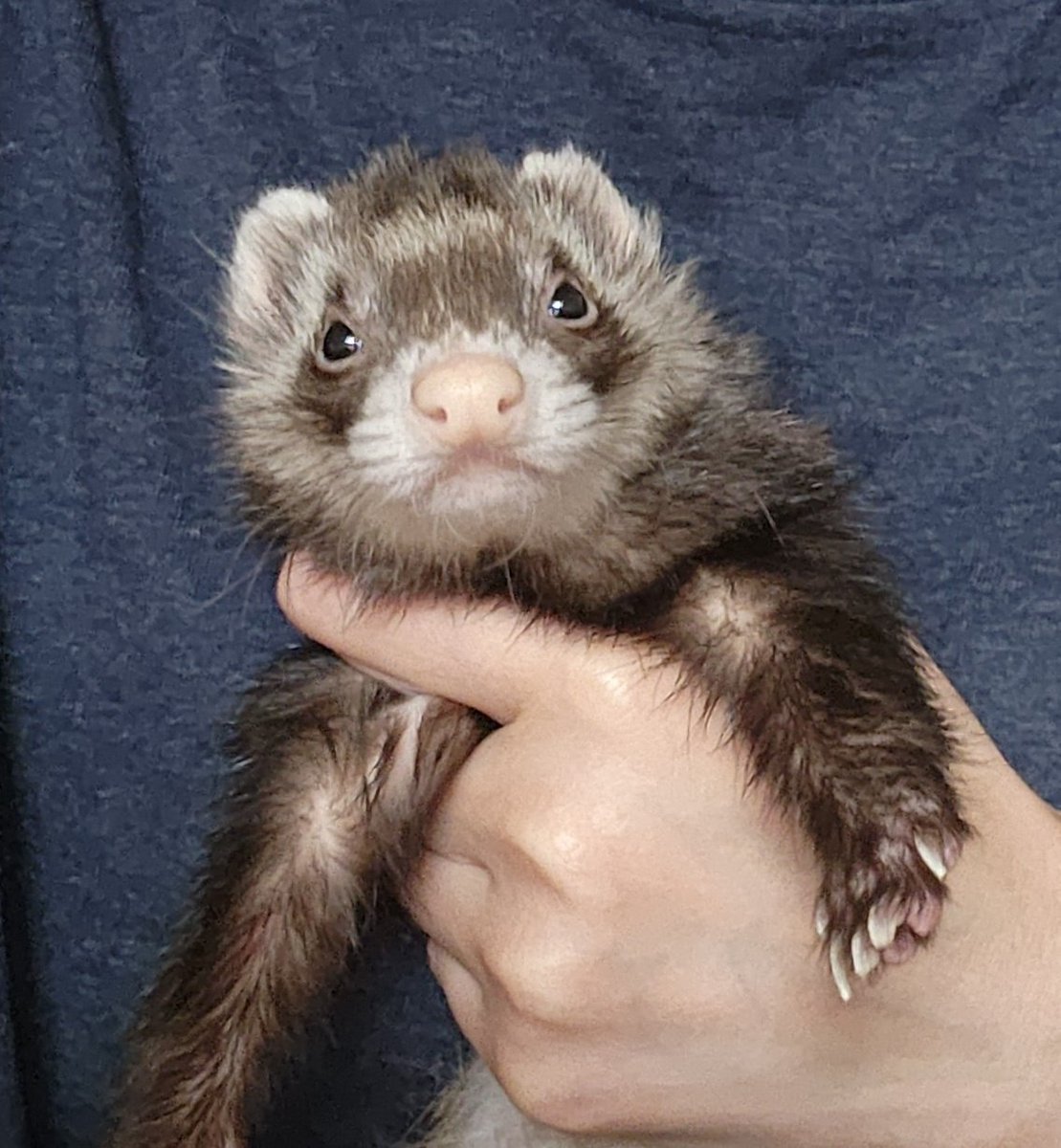 はるきち (@harunyan0309) / Posts / X