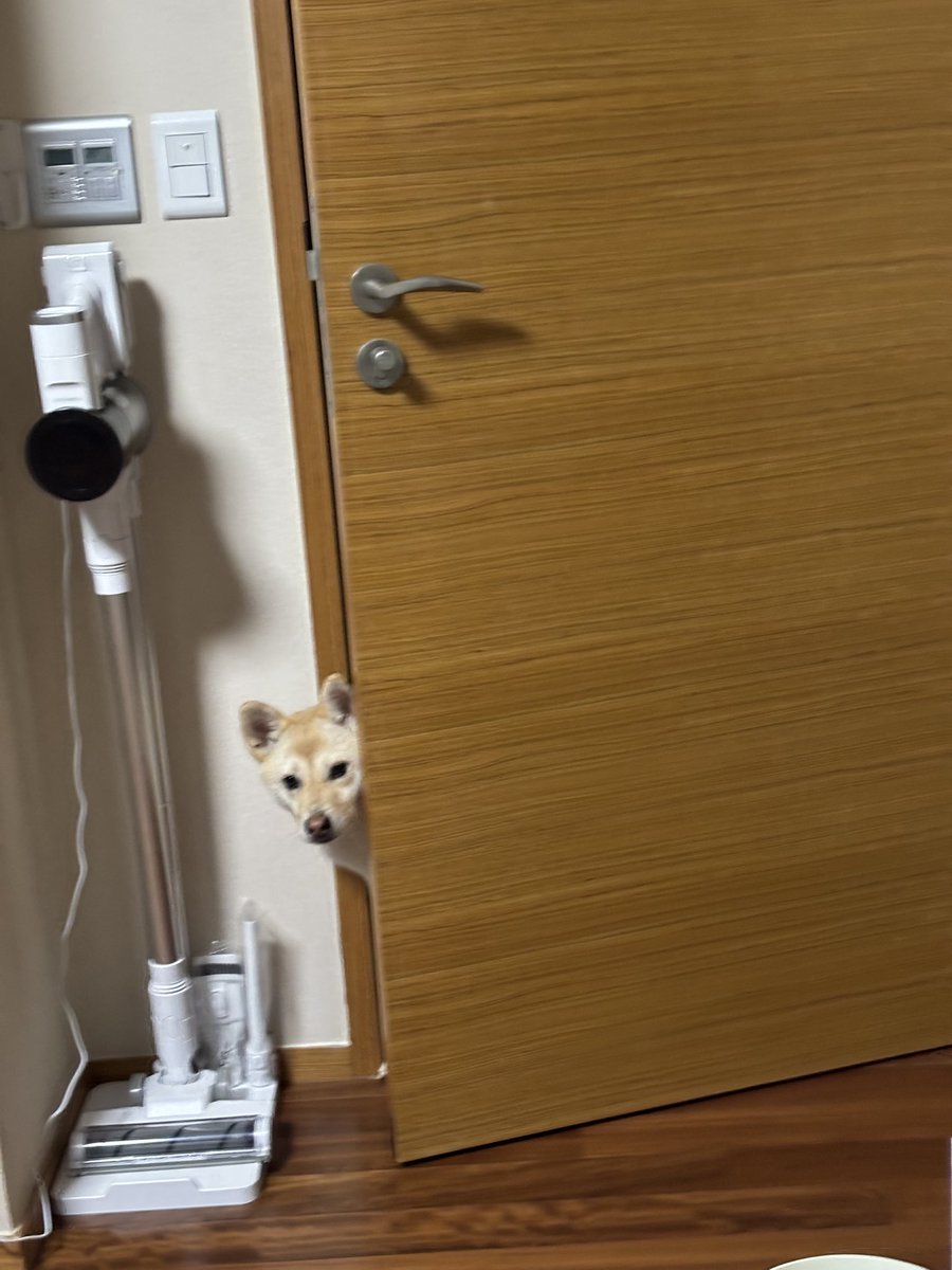 아니 강베리씨 간밤엔 문 찌끔 열린 거 더 이상 못 열겠다고 자는 언니 콧구멍에 혀 넣어서 깨우셨자나요. 근데 지금 홈트하고 있는 저는 왜 훔쳐보세요????