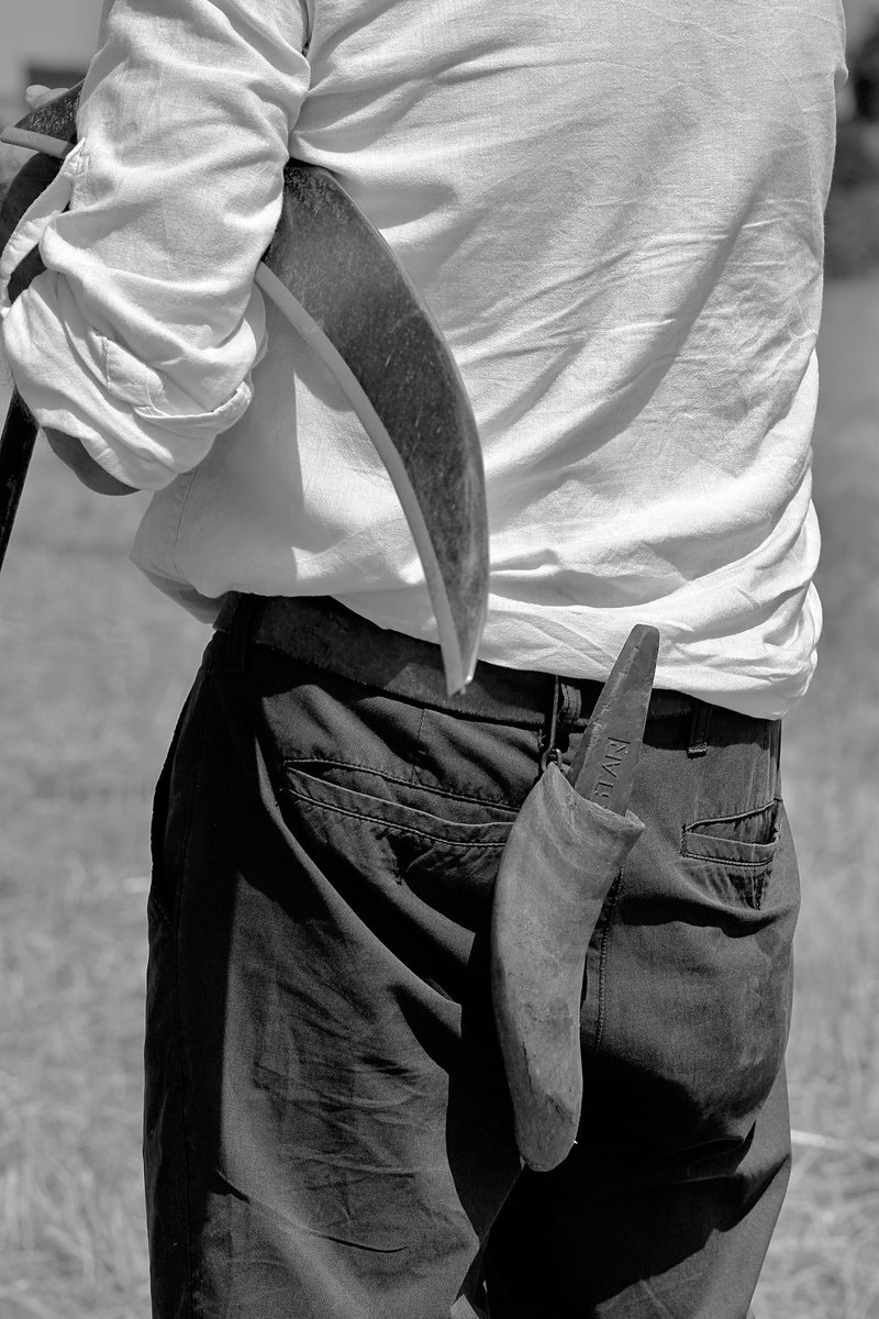 El botijo, el arado, la mies y la piedra de picar el dalle. Elementos antaño imprescindibles en muchos pueblos de España a finales de agosto.