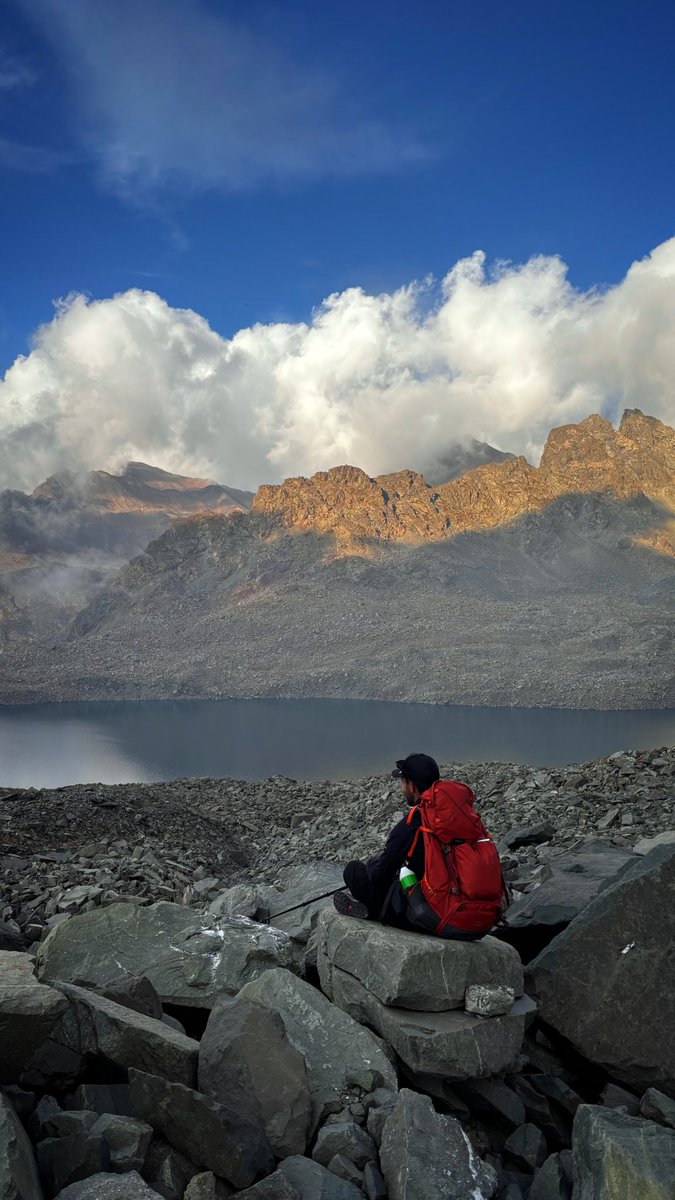 Solo Lavaas tweet media