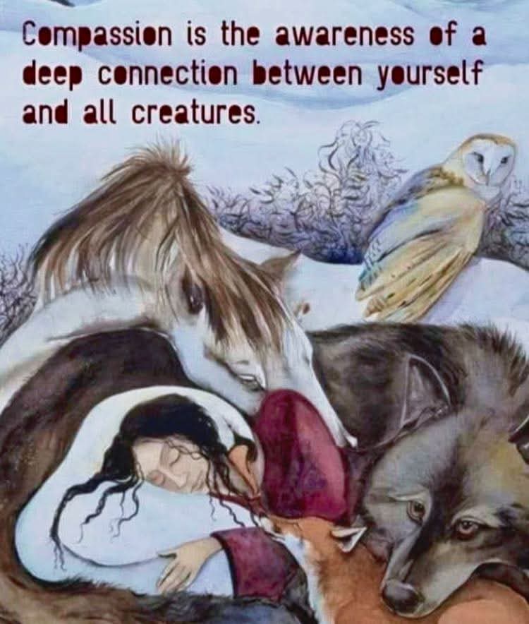 tracy birrell (@nosocksbirrell) on Twitter photo 