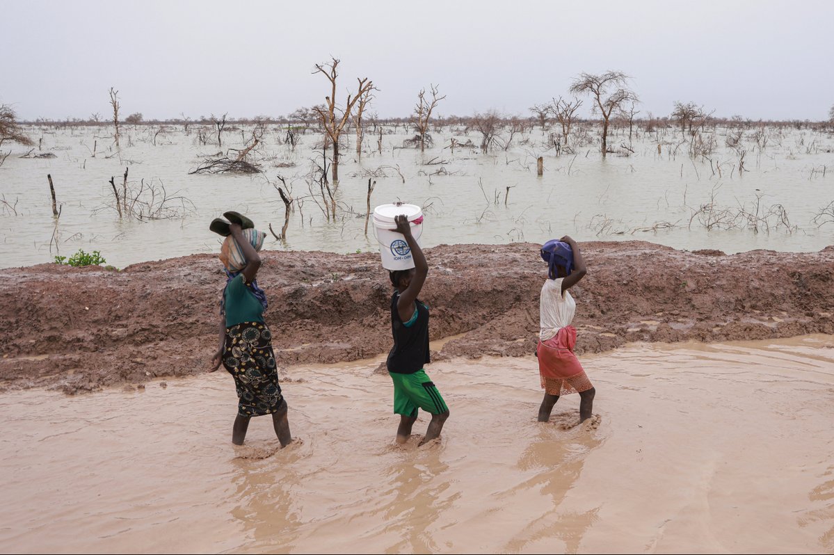 Sudán del Sur vive una de las mayores crisis de desplazamiento en África:
➡️ 2,4 M de refugiados
➡️ 2 M desplazados internos
➡️ 589.000 refugiados acogidos

ACNUR brinda ayuda vital con refugio, agua y apoyo a comunidades afectadas.

f.mtr.cool/bijffelpkw