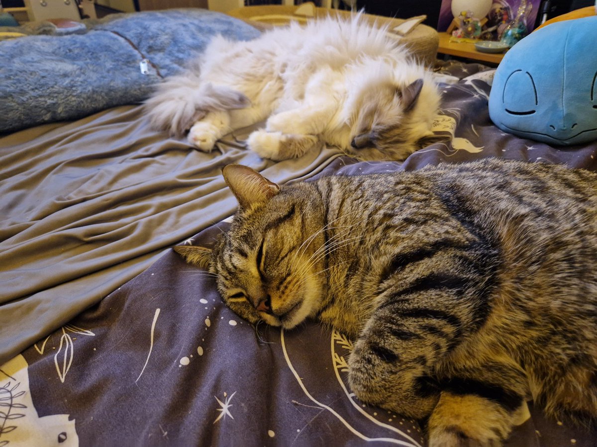 SillyPanda_T's tweet photo. @Tearastar A sleepy Astarion and Logan :3 https://t.co/ZvjjBlt5cR