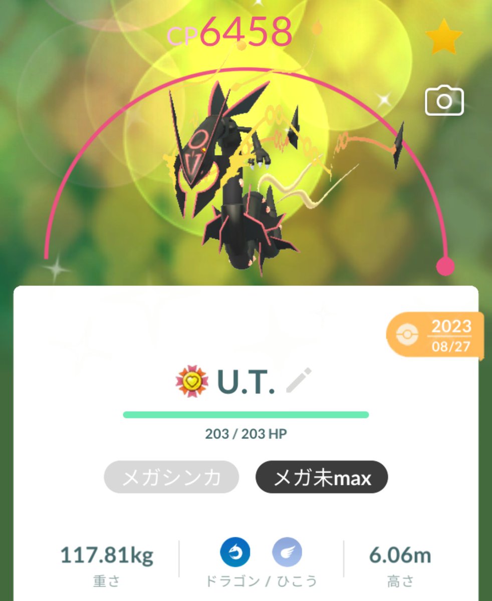 メガレックウザ色違い100%Max強化という到達点。だいぶ時間は掛かった