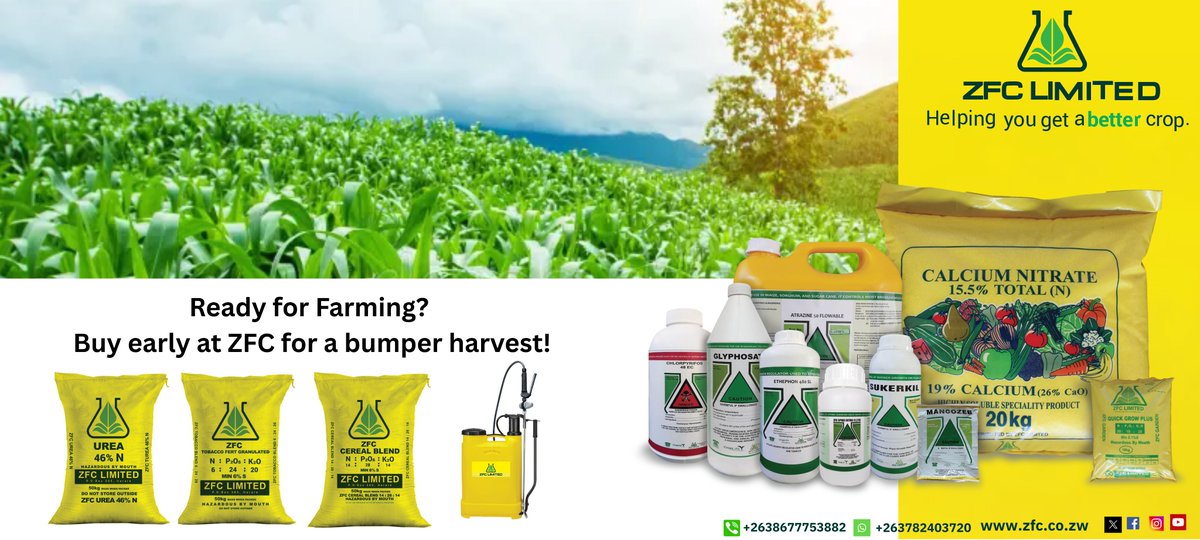 ZFC Limited tweet media