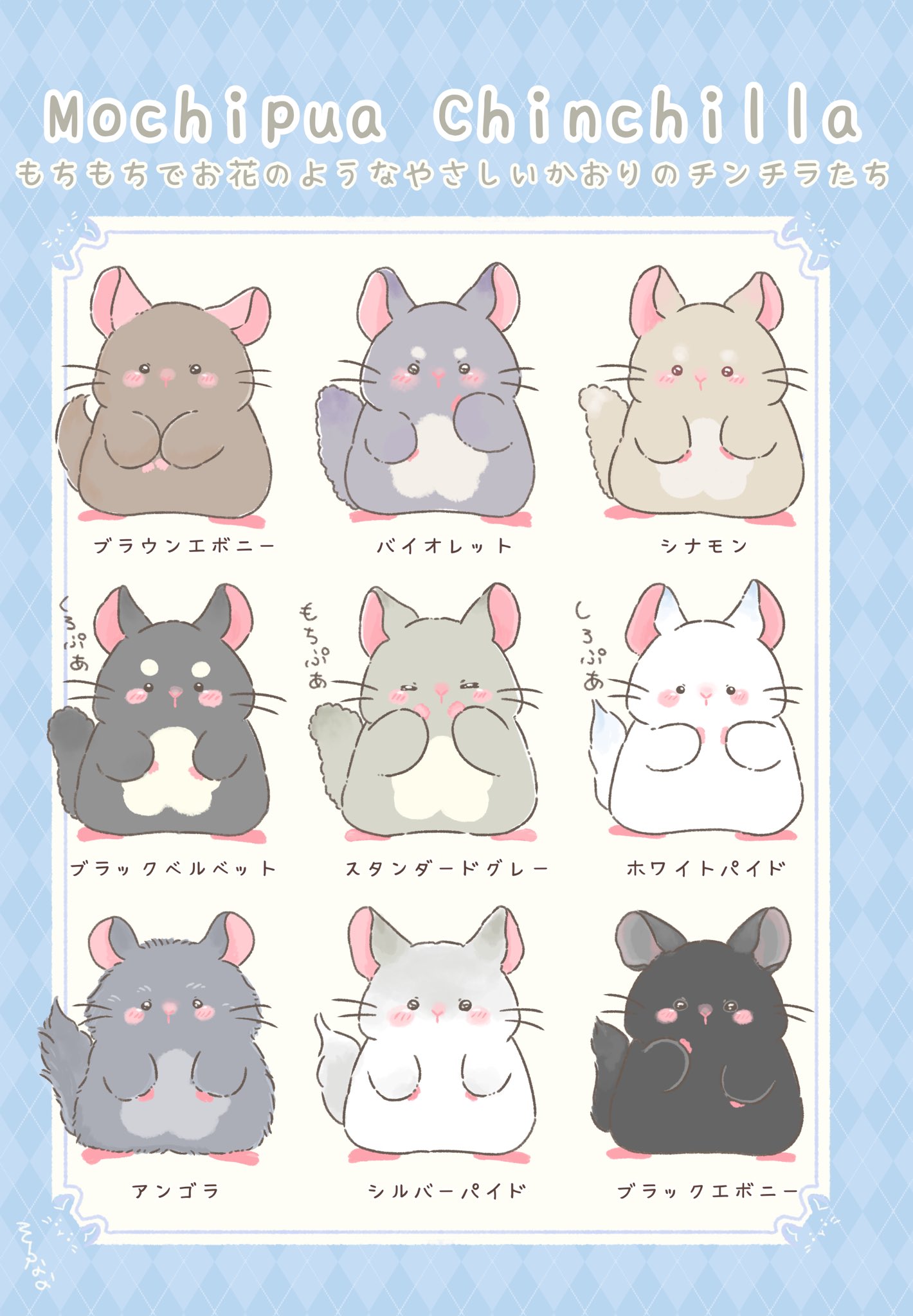 チンチラ プロフ必読‼️です❣️ そらなな🐢🌷イラストレーター on X: 