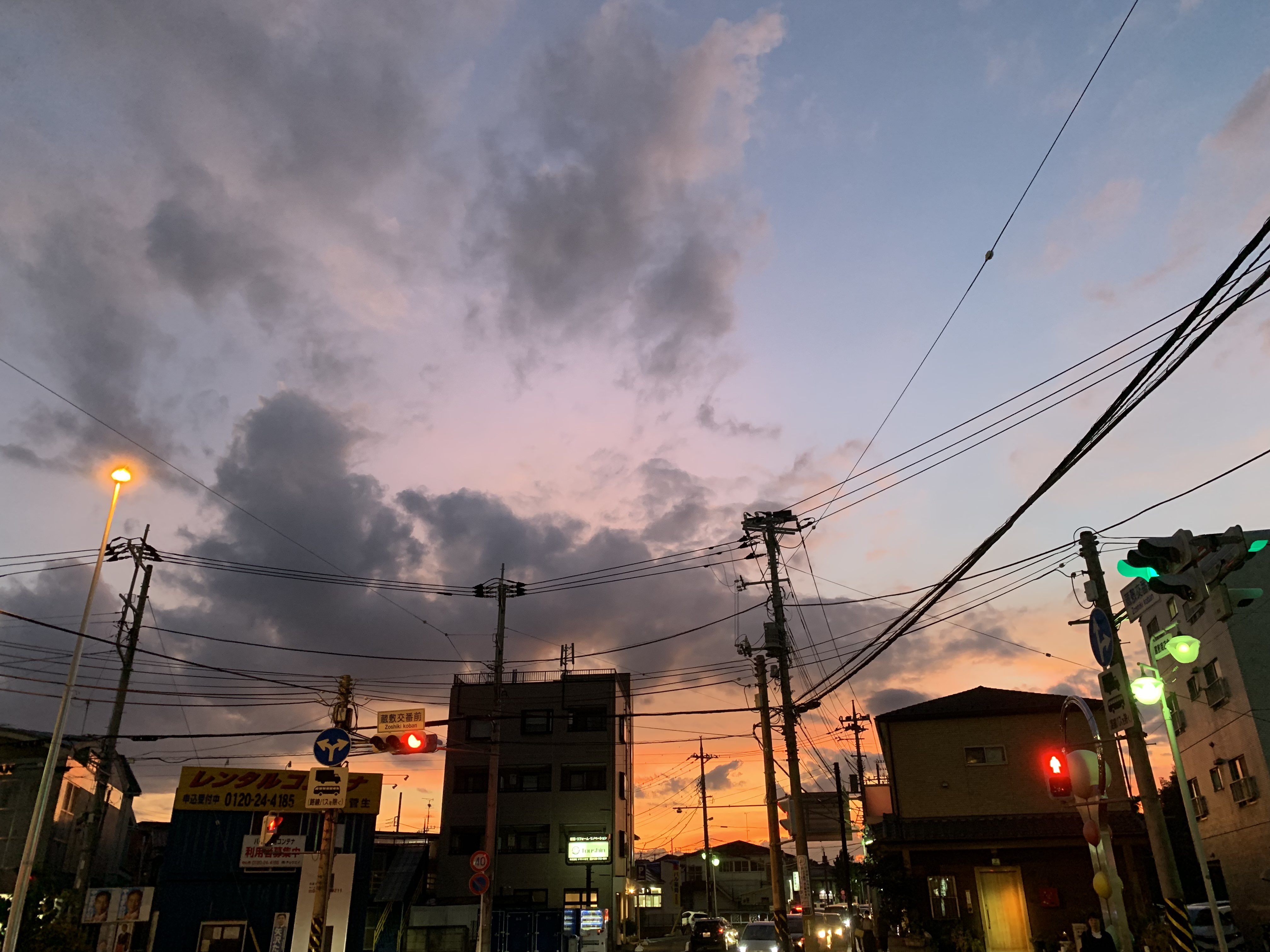shiho ohashi（猫・風景画家） on X: 