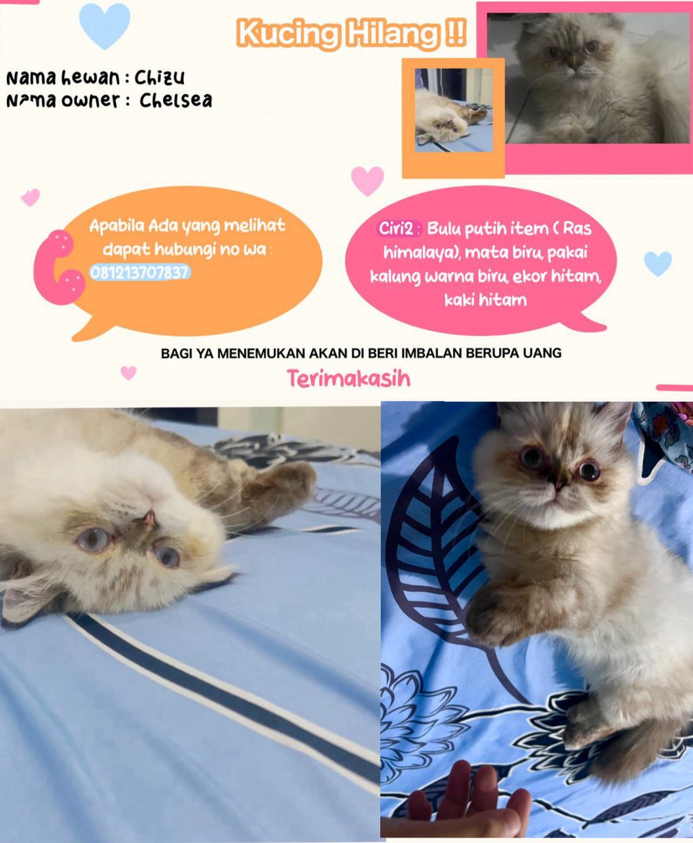 celshanks's tweet image. Halo temen - temen yang berdomisili kab bekasi (cibitung) di sekitaran perumahan villa mutiara, mohon info nya ya🙏🏻🥺