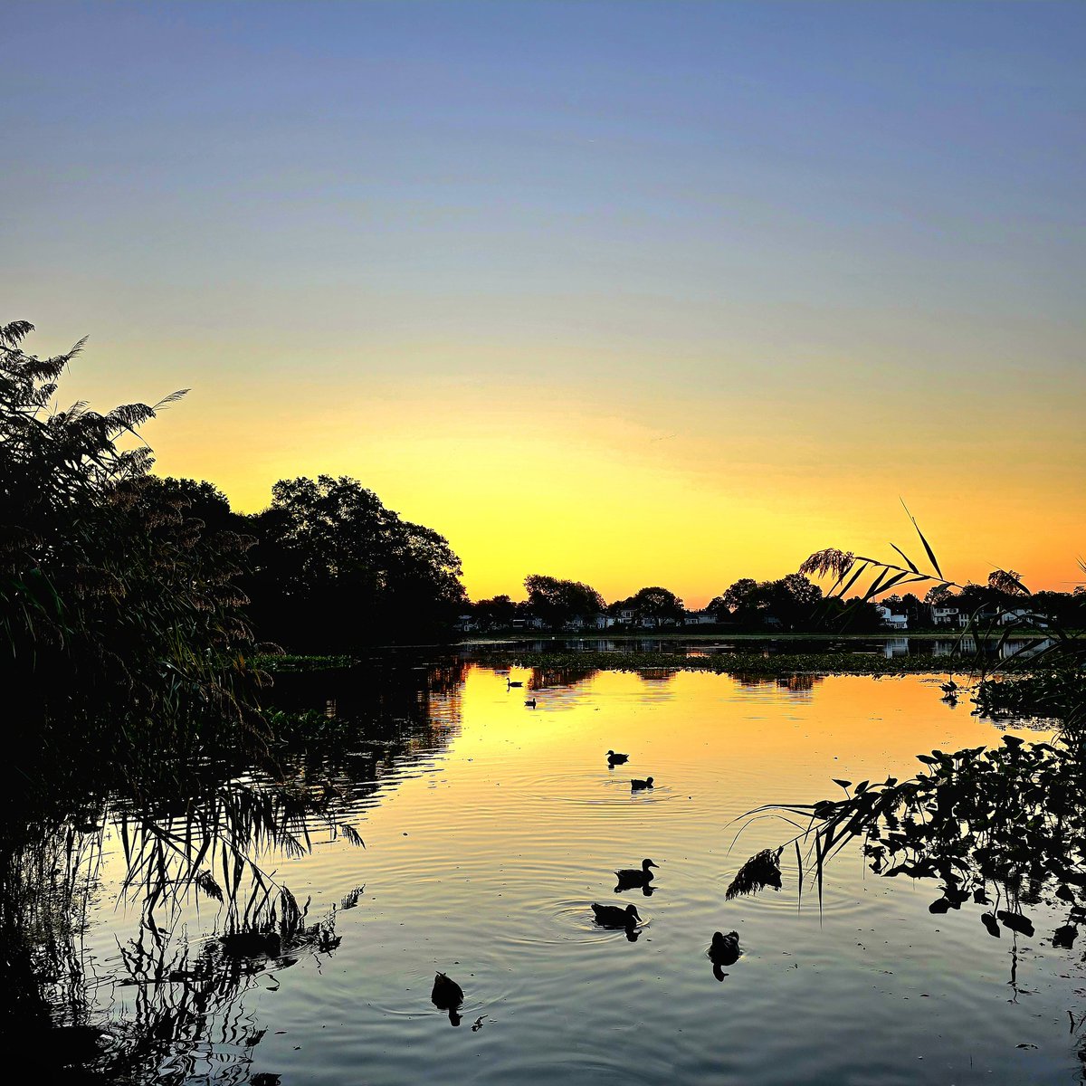 <a href="/hoffmanrich/">RichHoffmanWeather</a> 
<a href="/AlexCalamiaWx/">Alex Calamia ☀️</a> 
<a href="/SkylerDayWX/">Skyler Day Harman</a> 
<a href="/SamanthaAugeri/">Samantha Augeri</a> 
<a href="/mark_tarello/">Mark Tarello</a> 
<a href="/TreutleinDenise/">Denise treutlein</a> 
<a href="/AddisonGreenWX/">Addison Green</a> 
<a href="/JSeawright_TVWX/">Julian Seawright</a> 
<a href="/News12LI/">News12LI</a> 
T.G.I.F. at the Massapequa lake this morning.