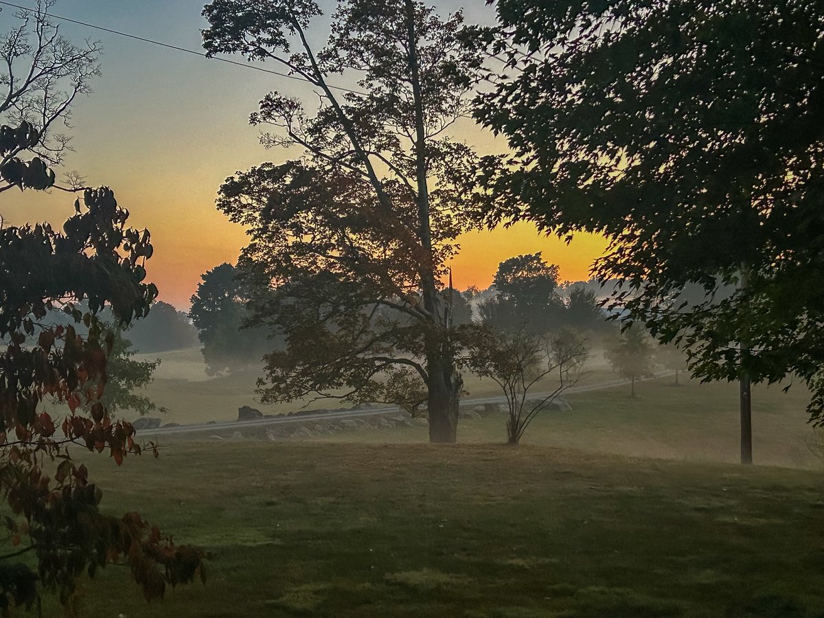 The Civil Rights Lawyer (@johnbryanesq) on Twitter photo 