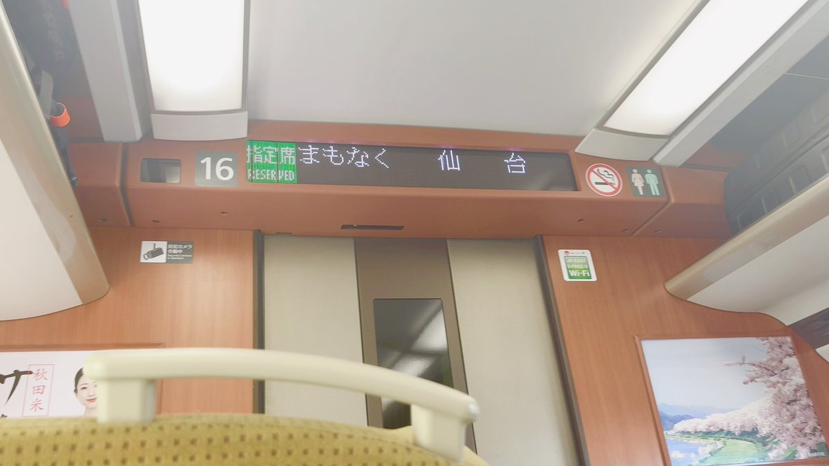 めておら×ころばう旅行の写真ぽい✈️

ツキちゃんもホテルから捕獲完了🐈
先輩2人にいっぱい武道館お祝いで奢ってもらっちゃって幸😭😭😭