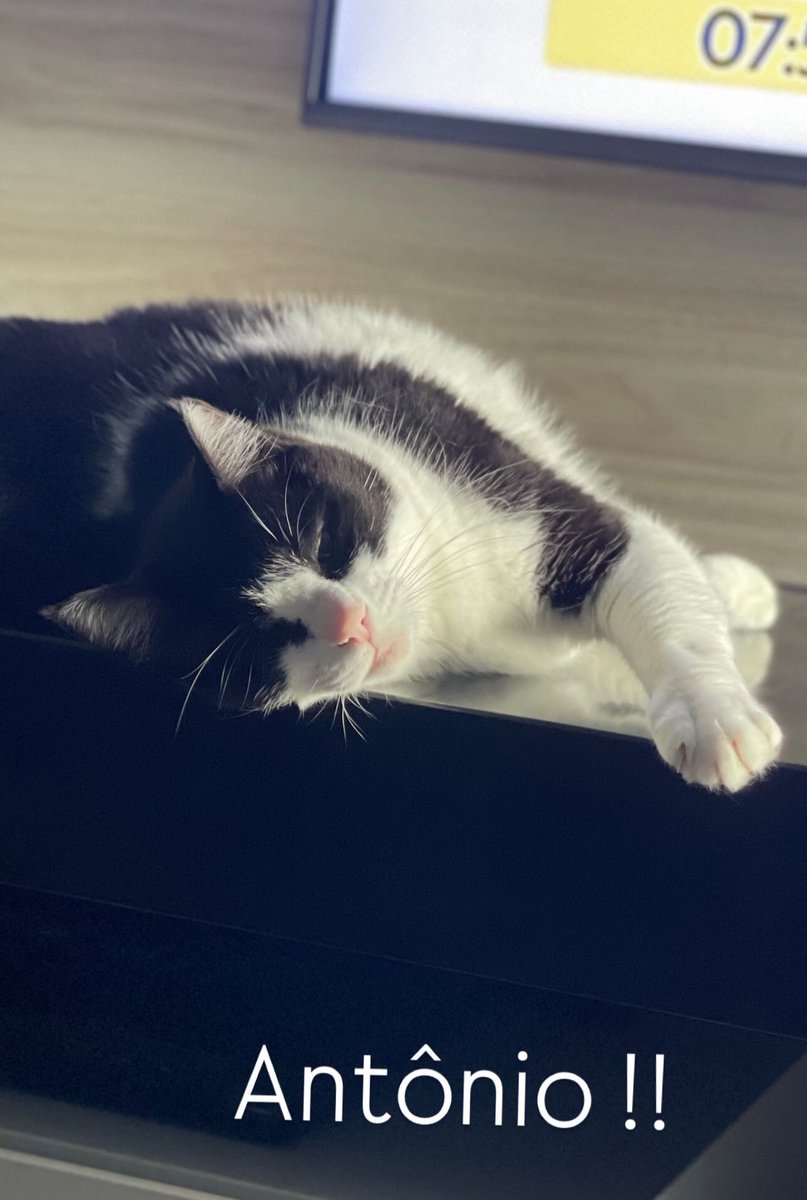 Raphael Faraco tweet media