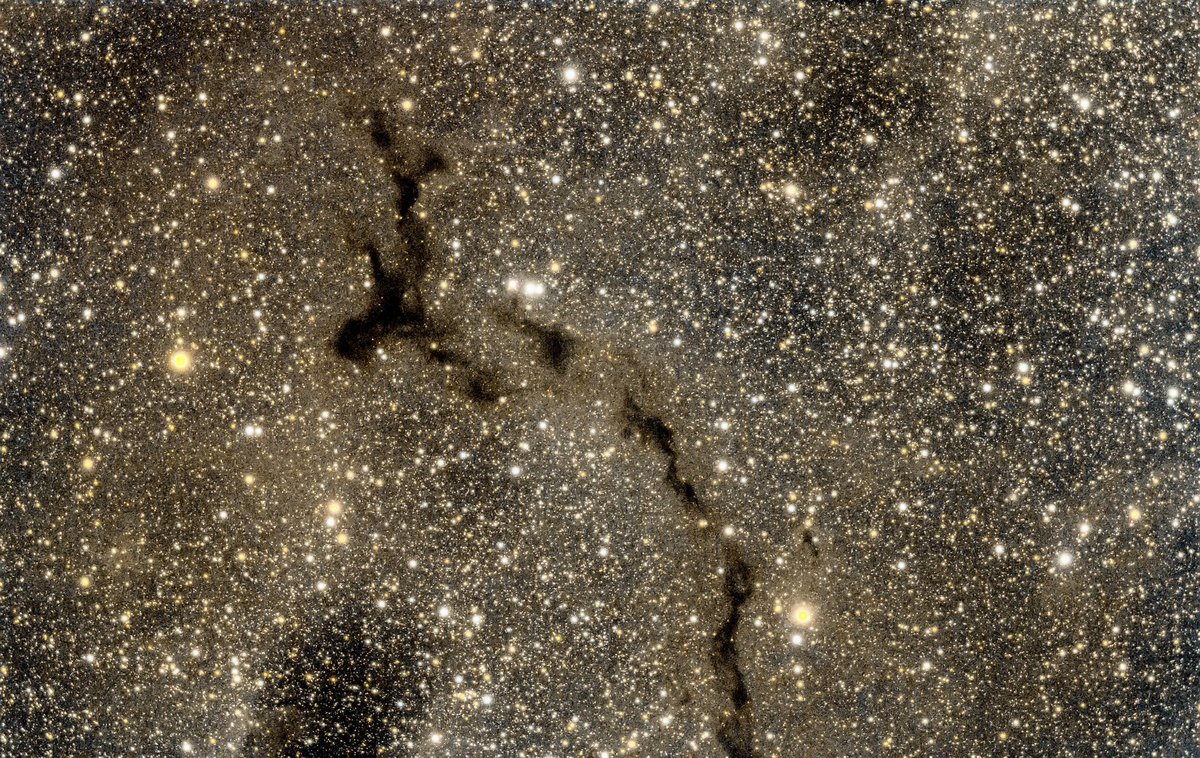 #seahorsenebula #barnard150 #cosmicdust #darknebula #cepheus