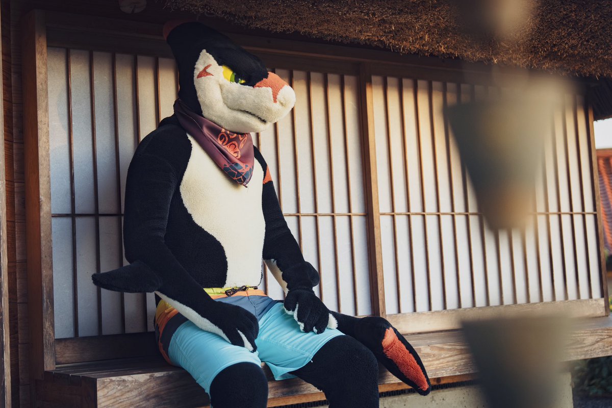 黄昏れサメ🦈

#FursuitFriday