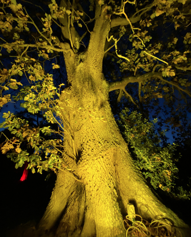 StokesayCourt's tweet photo. 🎃Halloween Fun on Oct 31 &amp; Nov 1🎃
The house &amp; gardens will be lit up at dusk. This is a family-friendly event 👻 fancy dress, pumpkin trail &amp; craft tent.  Hot food will be available &amp; 🐕🐕 are welcome.  
Tickets https://t.co/ashhZCwm41 #Shropshire #Ludlow #Halloween2025 https://t.co/RXRCMBN6w8