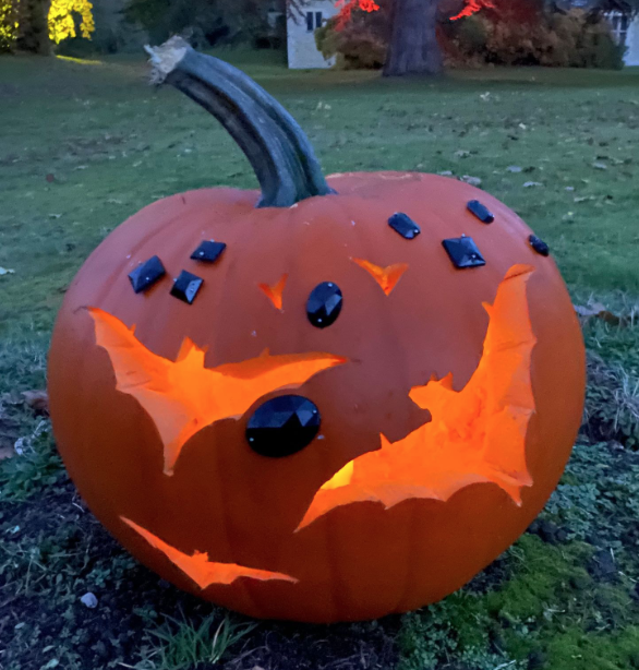 StokesayCourt's tweet photo. 🎃Halloween Fun on Oct 31 &amp; Nov 1🎃
The house &amp; gardens will be lit up at dusk. This is a family-friendly event 👻 fancy dress, pumpkin trail &amp; craft tent.  Hot food will be available &amp; 🐕🐕 are welcome.  
Tickets https://t.co/ashhZCwm41 #Shropshire #Ludlow #Halloween2025 https://t.co/RXRCMBN6w8