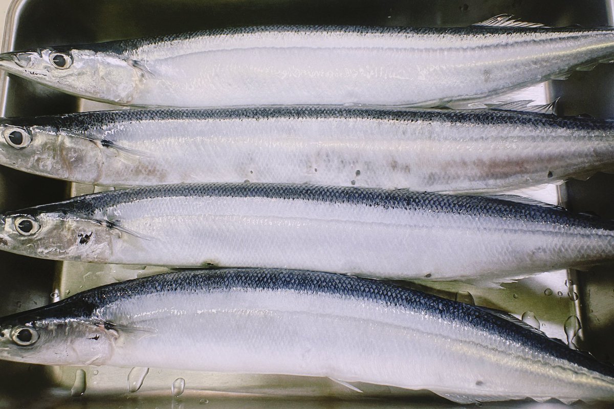 亀島くん「車じゃん❗️車体じゃん❗️」