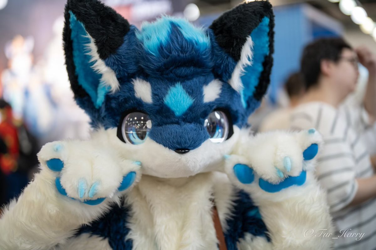 ELEN✨アタミ tweet media