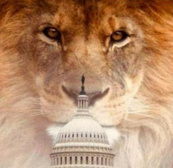 Xmarksthespock's tweet photo. @HelloRobbieRose @Dumb_Marketing_ @TPUSA Election reform should have been at the top of the agenda the first time around. I hope it's not too late. https://t.co/V0GMNK6WsQ